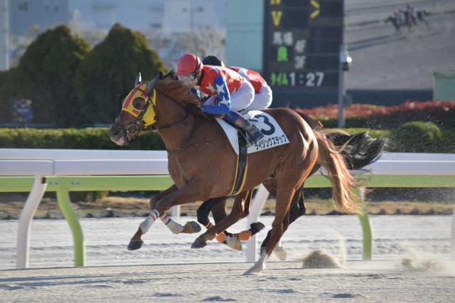 ルヴァンスレーヴのニュース・最新情報 | 競馬まとめ - netkeiba.com