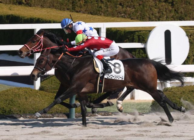 ルヴァンスレーヴのニュース・最新情報 | 競馬まとめ - netkeiba.com