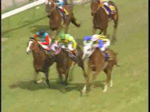 桜花賞 レース結果 | 1993年4月11日 阪神10R - netkeiba