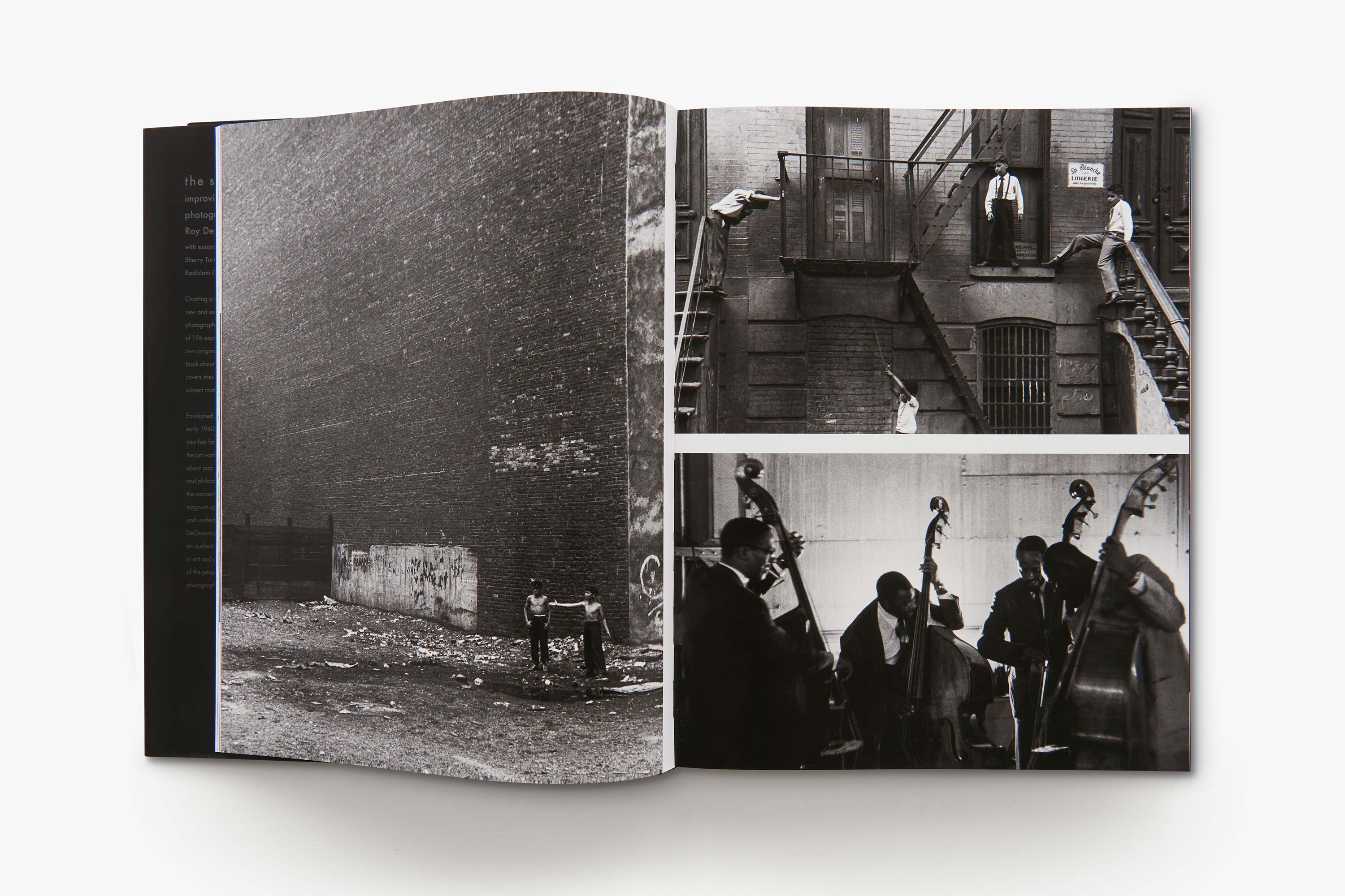 Roy DeCarava: the sound i saw | Books | David Zwirner