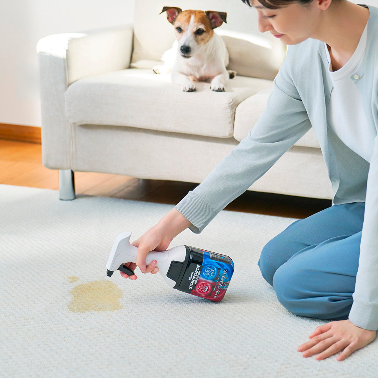 付け替え用】Shark StainForce コードレスシミ取りクリーナー 専用洗剤