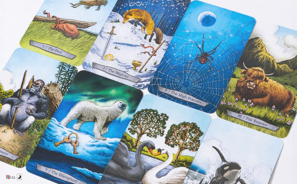 アニマル トーテム タロット Animal Totem Tarot – クロノスゲート公式通販