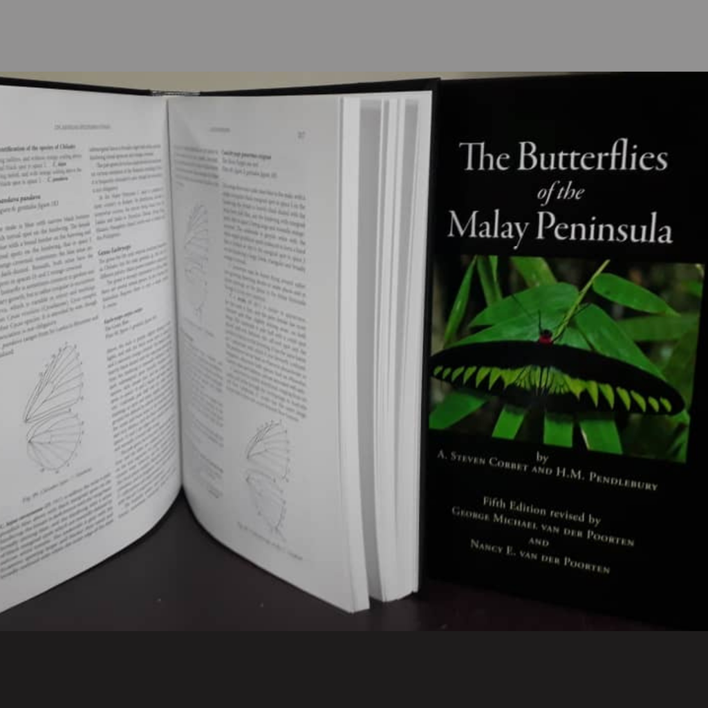 洋書 THE BUTTERFLYS OF THE MALAY PENINSULA The Butterflies of the