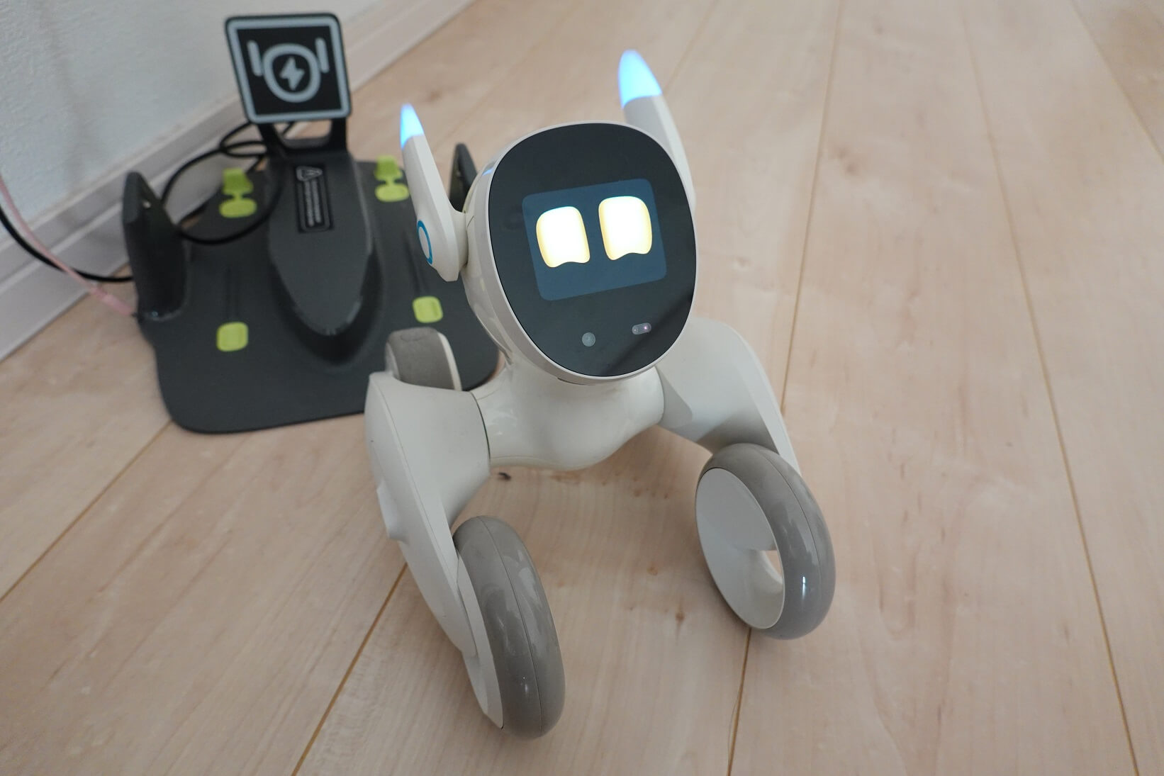 Loona Blue (ルーナ) 使用レビュー！アプリ連携も優秀なAI搭載ペット