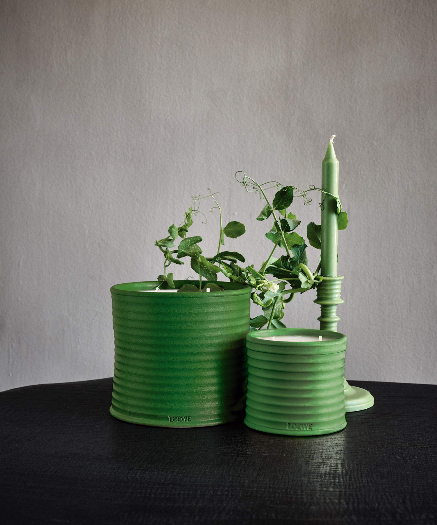 LOEWE Medium Luscious Pea Candle - Proluca Interiors