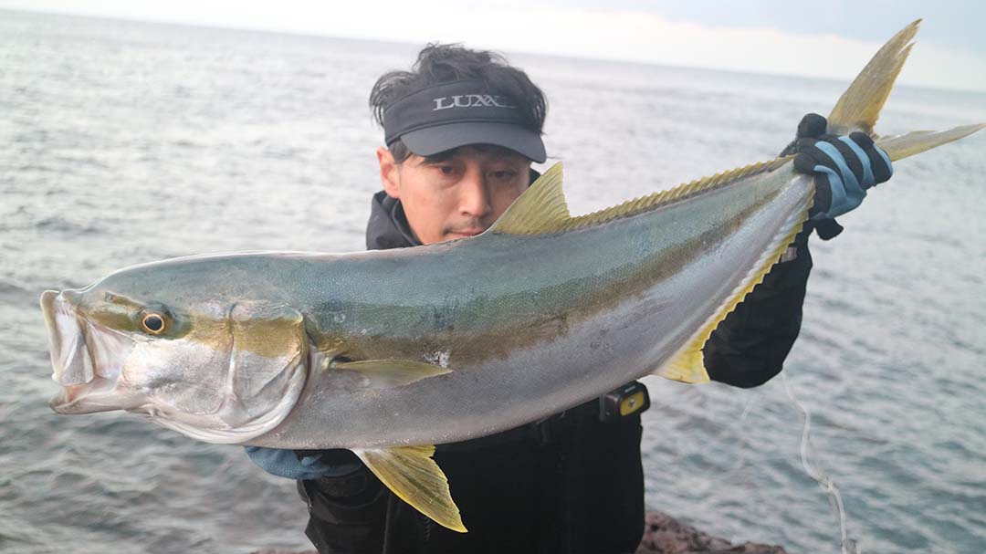 フィッシングDAYS | TVO テレビ大阪