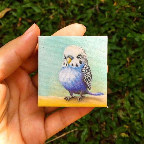 マレーシア セキセイインコの油絵 5 枚セット。ミニインコオリジナルの