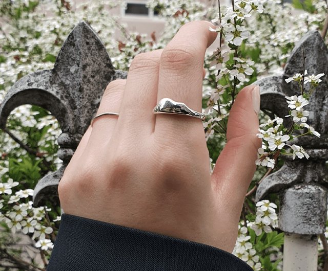 送料無料】韓国 星の王子さま ウワバミと象のリング 925シルバー WHY