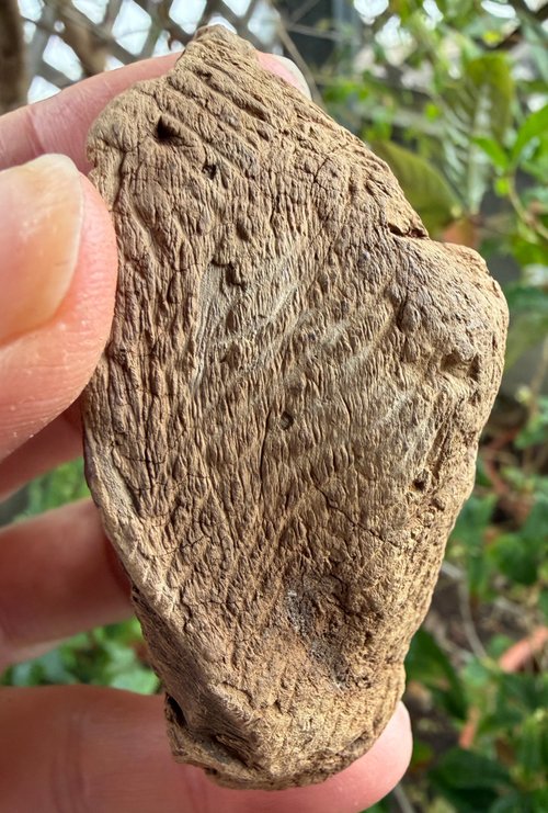 送料無料】台湾 カリマンタン 天然沈香古木 44 グラム 沈水級 沈香置物