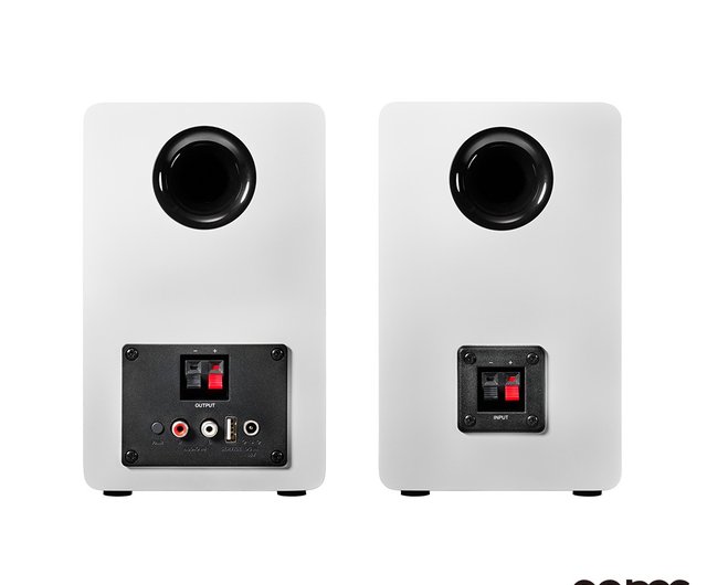 台湾 オーディオテクニカ AT-SP3X アクティブブックシェルフスピーカー