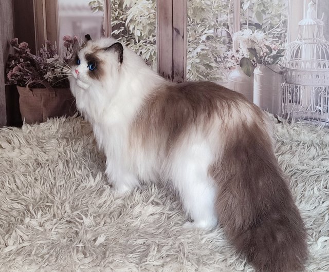 ウクライナ リアルな猫のラグドール 作家人形 OOAK ぬいぐるみ