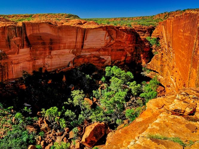 キングス・キャニオン | エアーズロック 旅行の観光・オプショナル