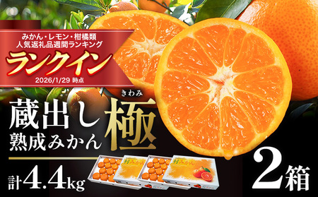 蔵出しみかん 極 熟成 1箱《今シーズン発送》みかん | 徳島県佐那河内