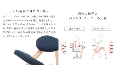 椅子 バランスイージー カバー付き 選べる フレーム カラー 姿勢矯正