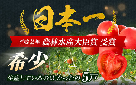 小串トマト 約1kg[OAE001] とまと トマト | 長崎県川棚町 | ふるさと