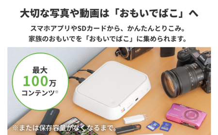 BUFFALO おもいでばこ 1TB Wi-Fi6対応 デジタルフォトアルバム データ