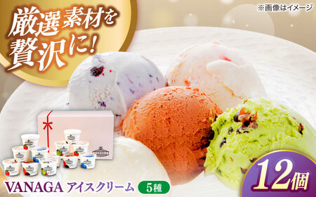 アイス VANAGAアイスクリーム 5種類×12個 [AIBH008] | 島根県雲南市