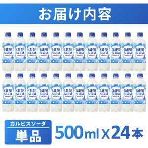 カルピスソーダ（500mL×24本）013-005 | 岡山県総社市 | ふるさと納税