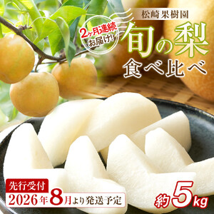 2026年発送／先行予約】2ヶ月連続お届け 旬の梨 食べ比べ 約5kg【松崎