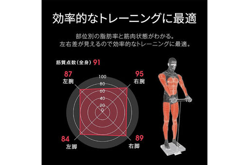 最短翌日発送【RD804LBK】タニタ 左右部位別体組成計 インナースキャン