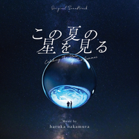 この夏の星を見る (Original Soundtrack)／haruka nakamura｜音楽