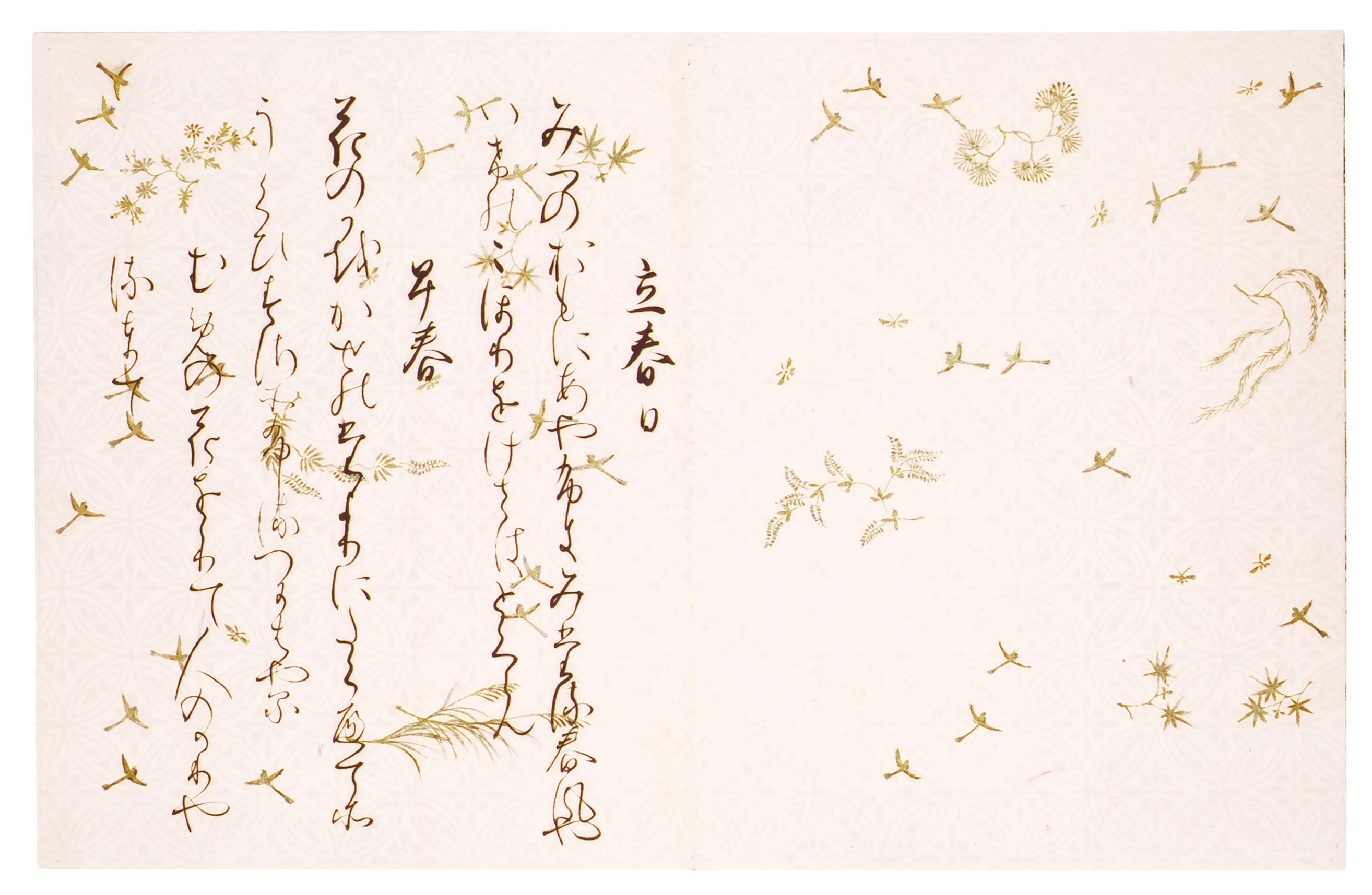 作品詳細: 西本願寺本三十六人集 友則集