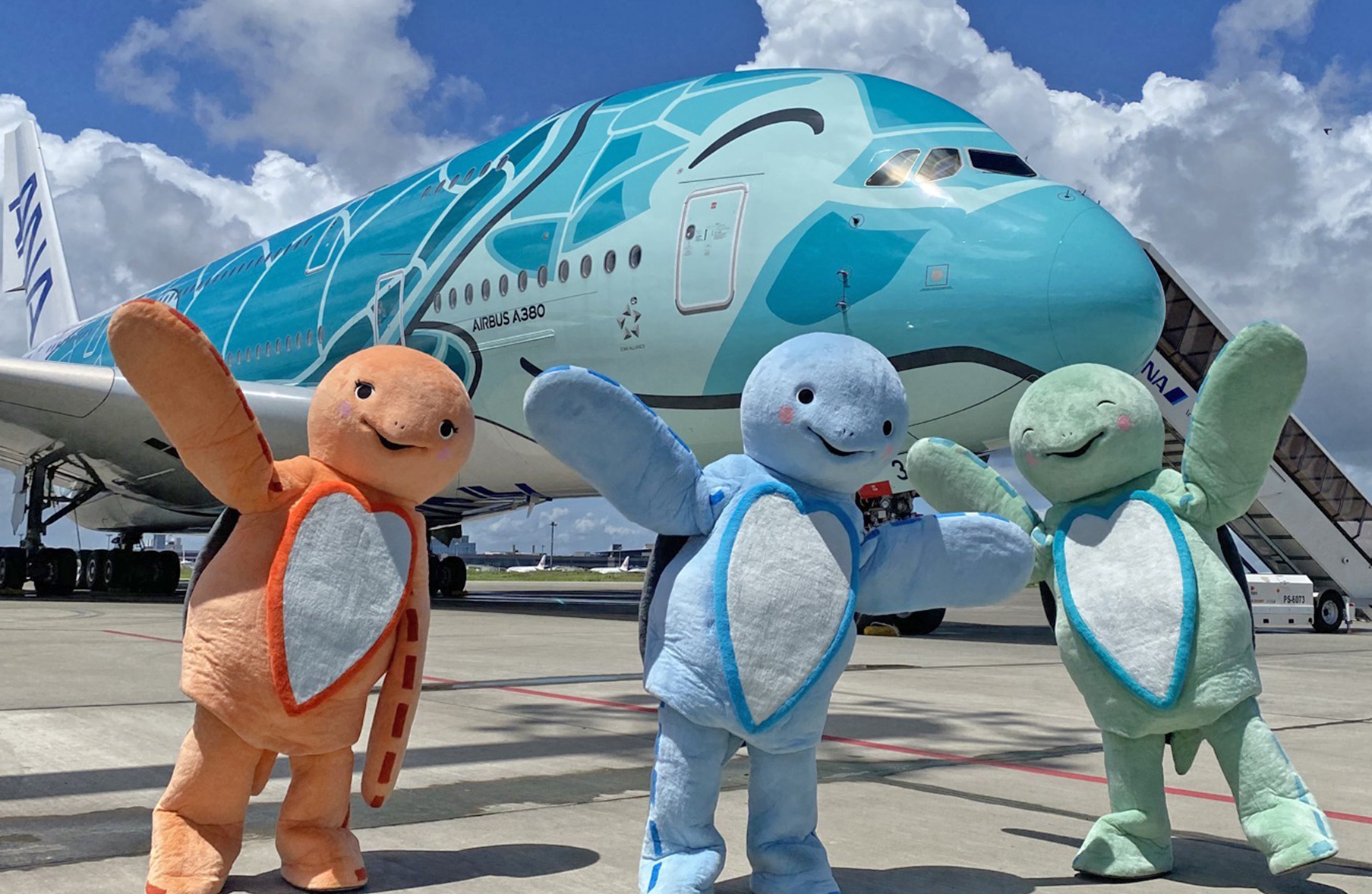 ANA A380 Flying Honu First Class – Chai Bear World