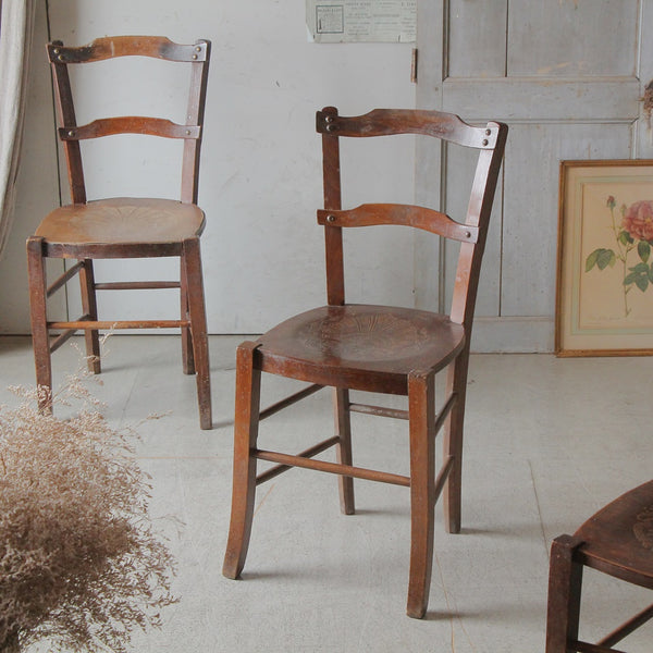 IMG_0321_grande.jpg?v=1742806446