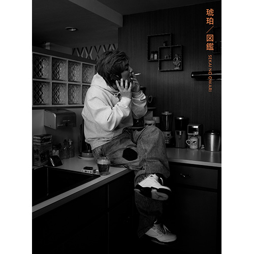 琥珀/図鑑 [初回限定盤A][CD MAXI] - SEKAI NO OWARI - UNIVERSAL