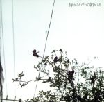 待ちくたびれて朝がくる 中古CD | ブックオフ公式オンラインストア