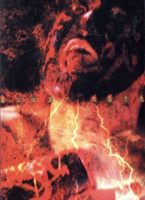 スターダム 丸ごとUSAツアー 中古DVD・ブルーレイ | ブックオフ公式