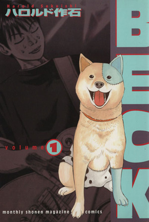 コミック全巻セット・まとめ買い】BECK(べック)(全34巻)セット