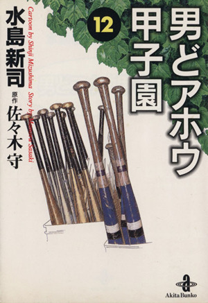 コミック全巻セット・まとめ買い】男どアホウ甲子園(文庫版)(全18巻
