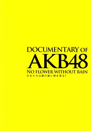 DOCUMENTARY of AKB48 NO FLOWER WITHOUT RAIN 少女たちは涙の後に何を