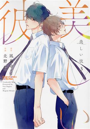 コミック全巻セット・まとめ買い】美しい彼(1～5巻)セット | ブック