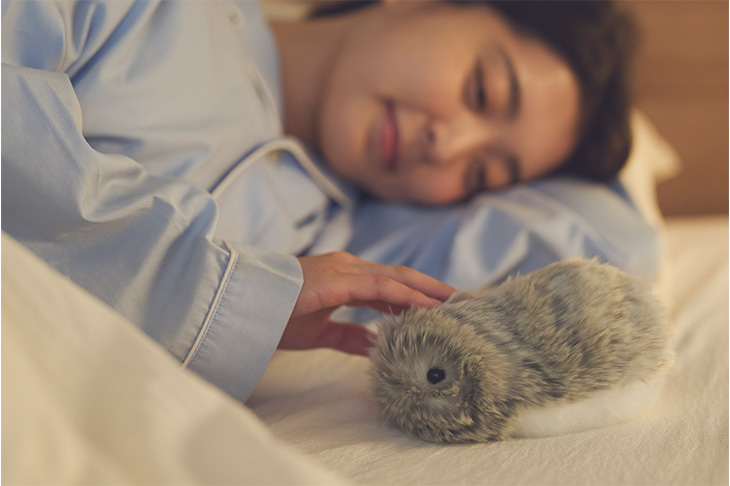 CASIO AIペット Moflin（モフリン） ゴールド｜ kikito[キキト