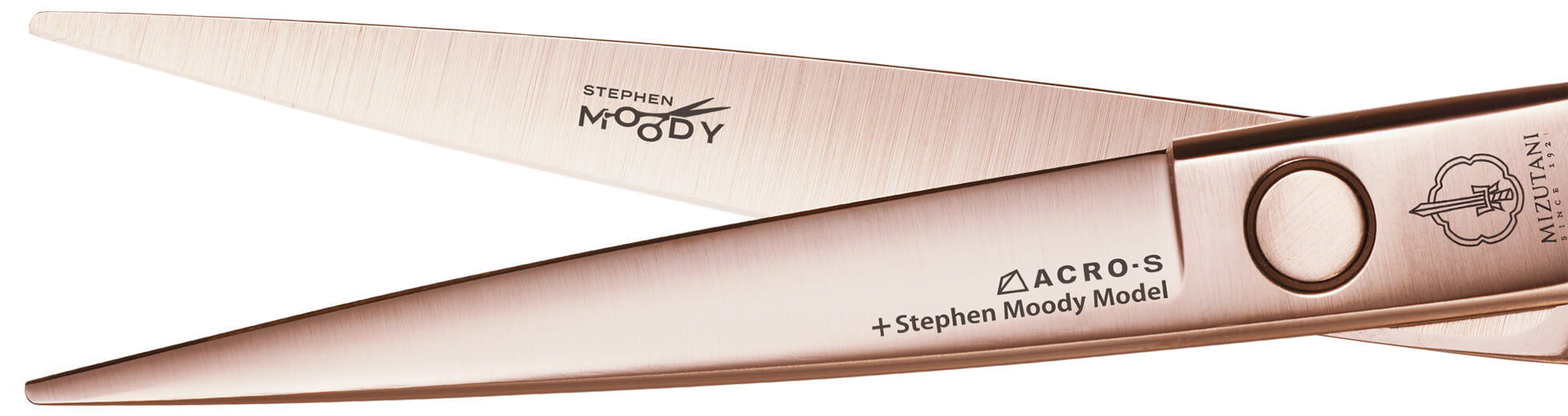 ACRO-S +Stephen Moody Model Satin Gold LEFTY (+cCCS) | ミズタニ