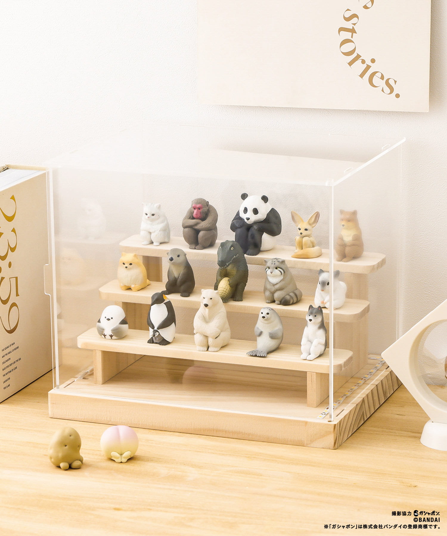 WEB限定再入荷》LED付きアクリルディスプレイBOX／カプセルトイ