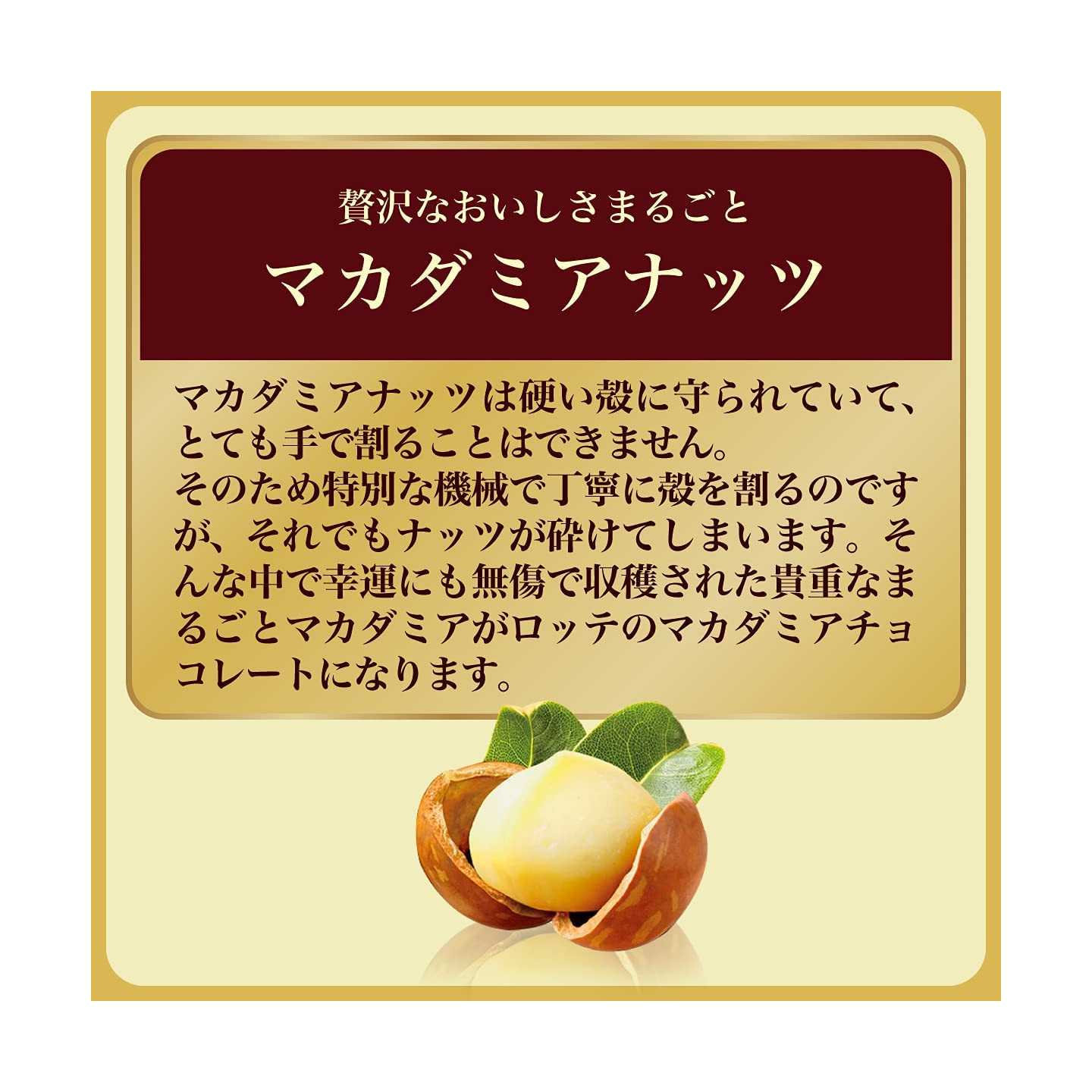 LOTTE - Macadamia Nut Chocolates
