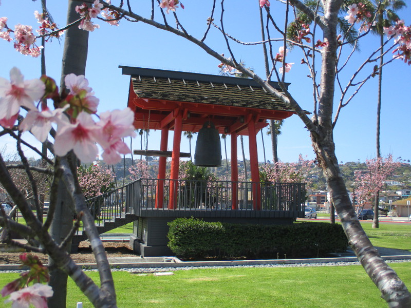 Cherry blossoms bloom around Japanese Friendship Bell! – Cool San