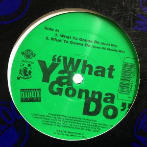 G-RAP/WEST COAST/SOUTH / / レコード通販COCOBEAT RECORDS