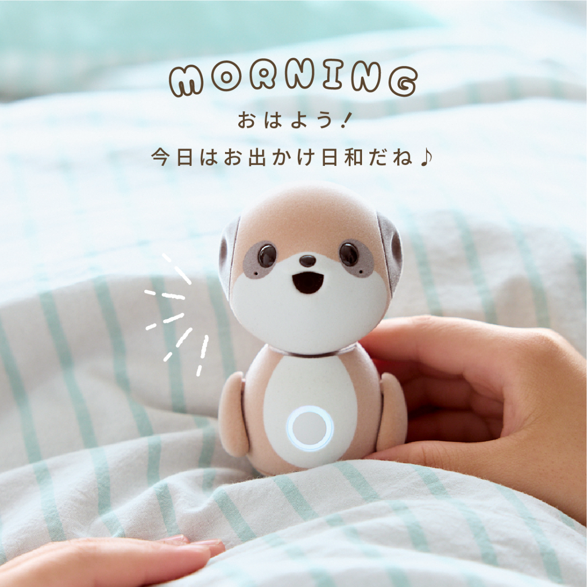 シャープ公式通販】 ポケとも本体 + ココロプラン for ポケとも(セット