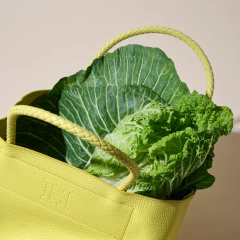 事業リリース HIROFU】春らしい軽快なグループ＜CESTA＞に新色『CITRUS