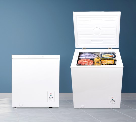 1台2役！冷蔵もOKなサブ使いにおすすめの66L冷凍庫を、ジェネリック