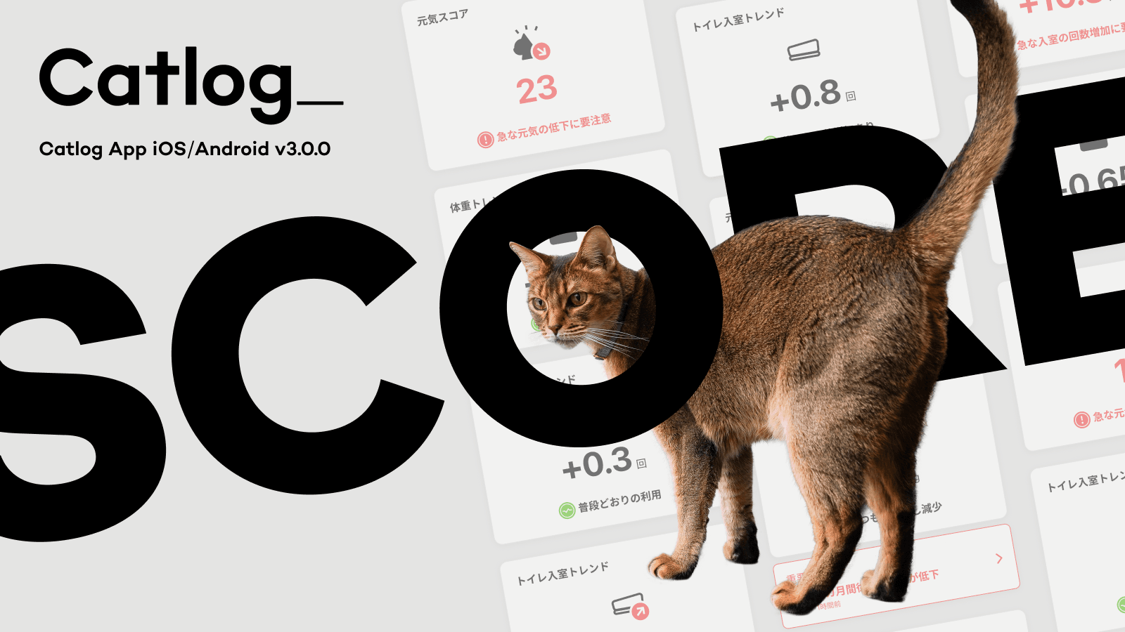 Catlog®︎に愛猫のコンディションが3秒でわかる『スコア表示』が登場