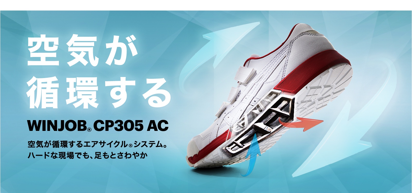 ASICS公式】ウィンジョブ®CP305｜WINJOB®CP305｜アシックス