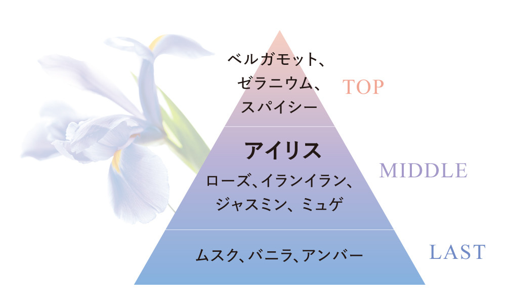 フィエルテ初のオイル状美容液、グランビスオイル登場。2023.1.16新
