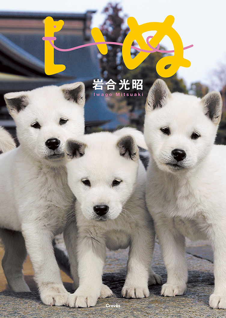 写真文庫『いぬ』 | 株式会社クレヴィス