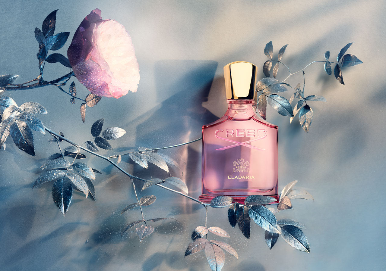 Virgin Island Water ヴァージン アイランド ウォーター | Creed