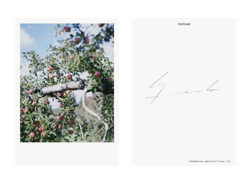From the Hip - Yoshihiko UEDA | shashasha - Photography & art in books